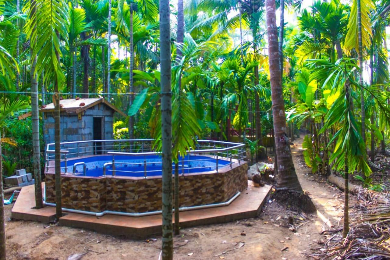 Maitreya Beach Resort Diveāgar Extérieur photo